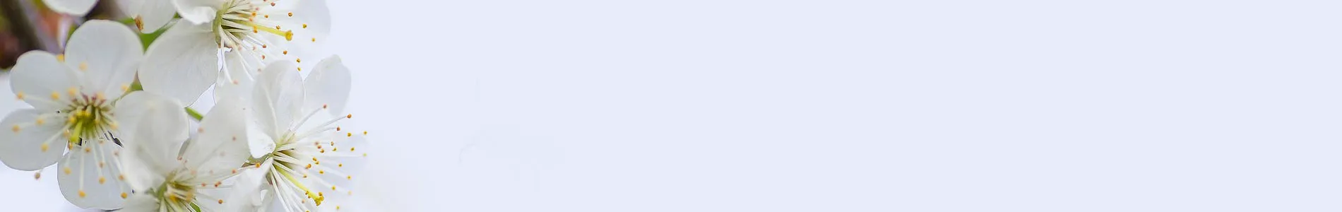 Personalized Gift Baskets