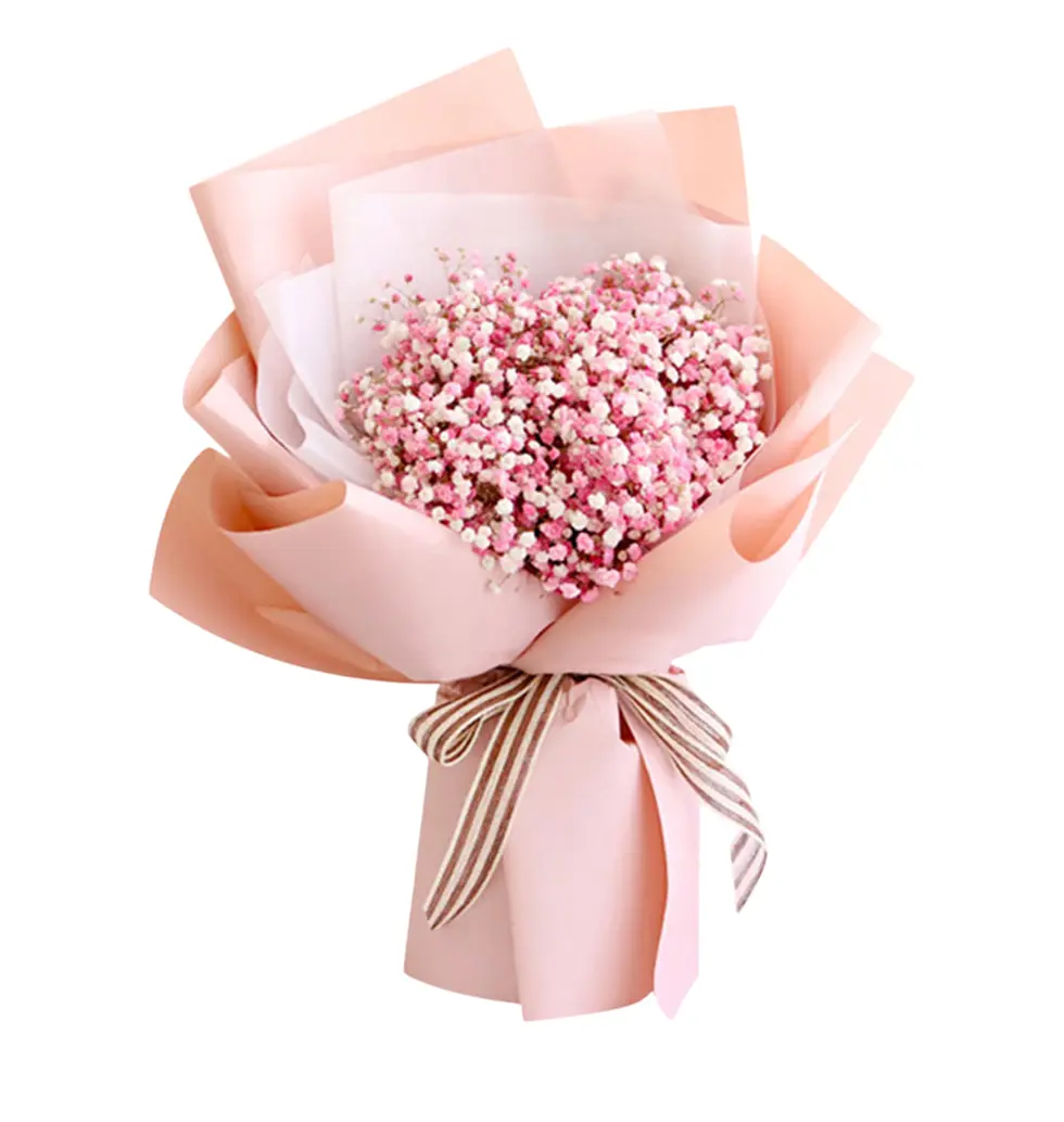 Elegant Baby Breath Bouquet Pack