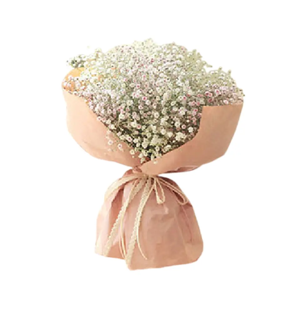 Delicate Baby Breath Gift Bouquet