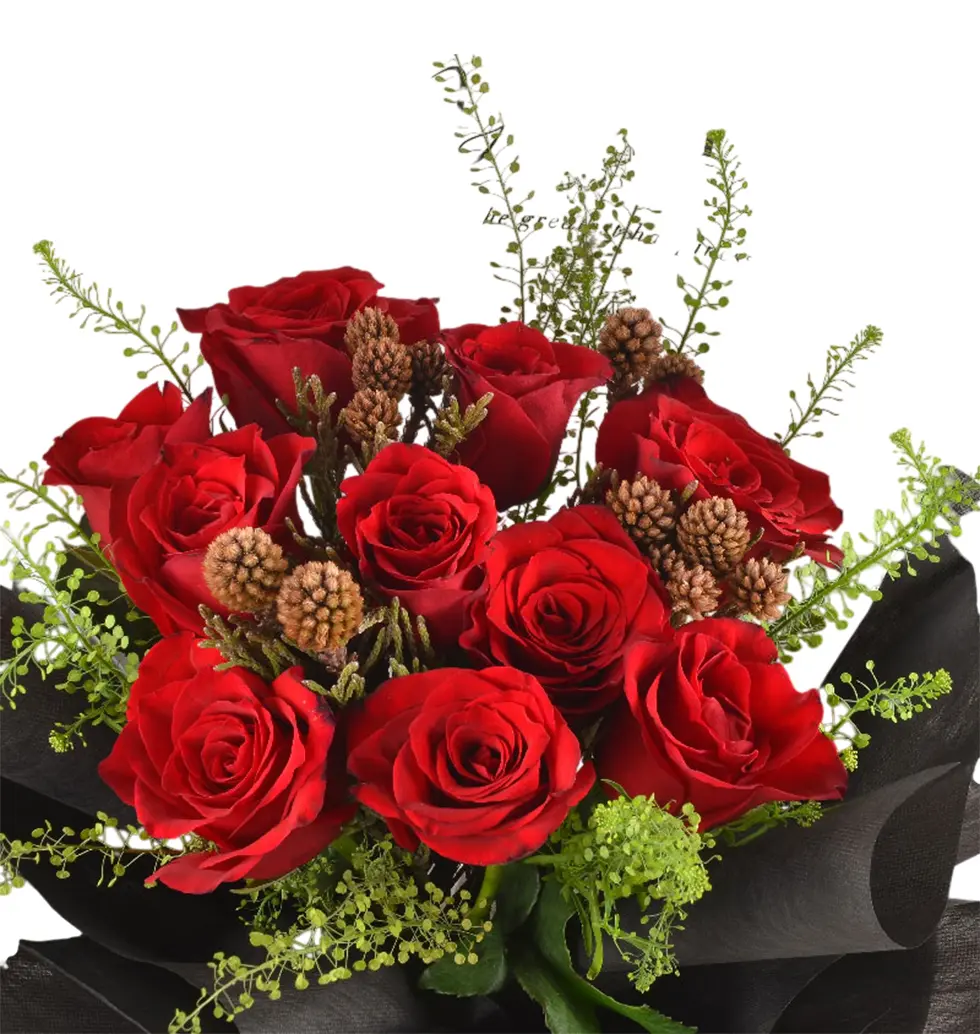 Enchanted Midnight Roses